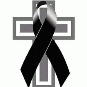 Meet your Posher, Petra